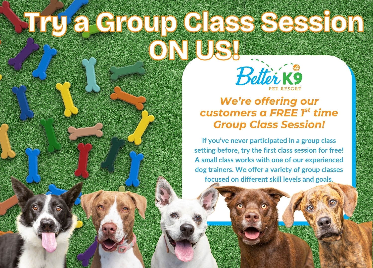 Free Group Class Session