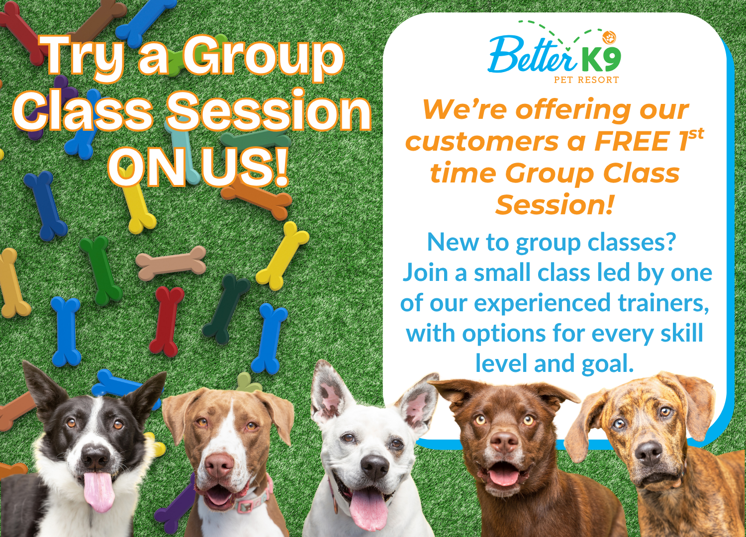 Free Group Class